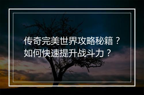 传奇完美世界攻略秘籍？如何快速提升战斗力？
