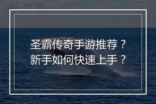 圣霸传奇手游推荐？新手如何快速上手？