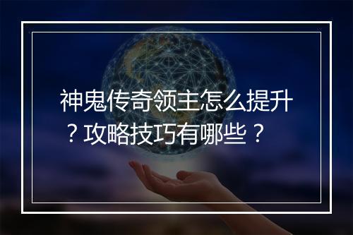 神鬼传奇领主怎么提升？攻略技巧有哪些？