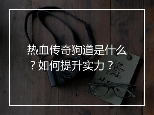 热血传奇狗道是什么？如何提升实力？