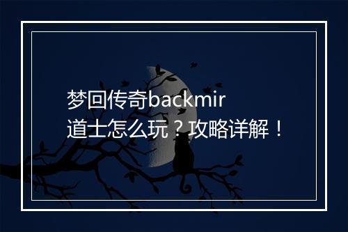 梦回传奇backmir道士怎么玩？攻略详解！