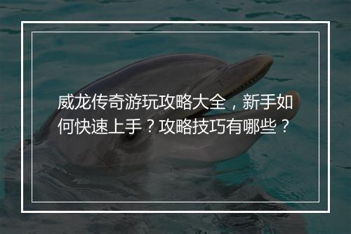 威龙传奇游玩攻略大全，新手如何快速上手？攻略技巧有哪些？