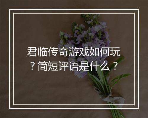 君临传奇游戏如何玩？简短评语是什么？