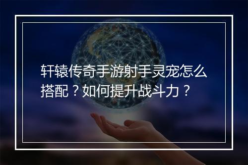 轩辕传奇手游射手灵宠怎么搭配？如何提升战斗力？