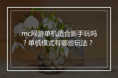 mc网游单机适合新手玩吗？单机模式有哪些玩法？