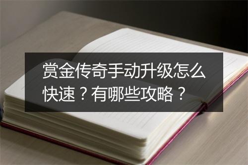 赏金传奇手动升级怎么快速？有哪些攻略？