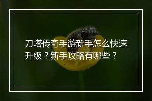 刀塔传奇手游新手怎么快速升级？新手攻略有哪些？