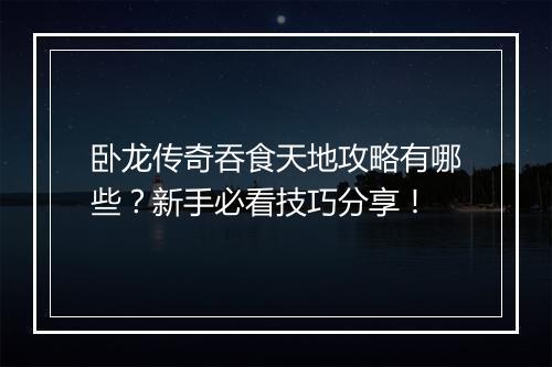 卧龙传奇吞食天地攻略有哪些？新手必看技巧分享！