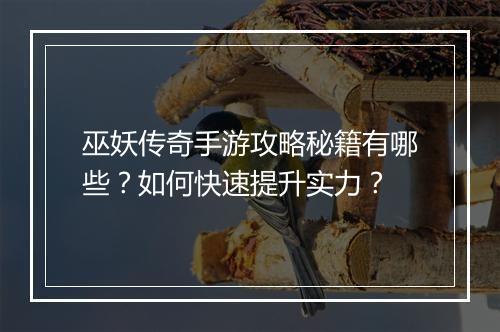 巫妖传奇手游攻略秘籍有哪些？如何快速提升实力？