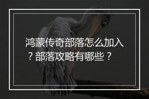 鸿蒙传奇部落怎么加入？部落攻略有哪些？