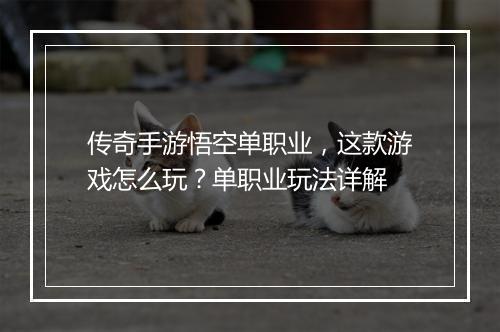 传奇手游悟空单职业，这款游戏怎么玩？单职业玩法详解