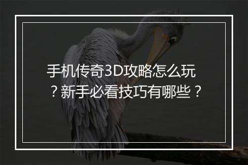 手机传奇3D攻略怎么玩？新手必看技巧有哪些？