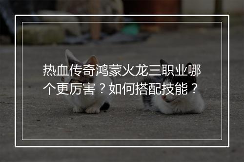 热血传奇鸿蒙火龙三职业哪个更厉害？如何搭配技能？