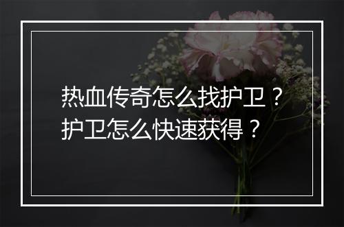 热血传奇怎么找护卫？护卫怎么快速获得？