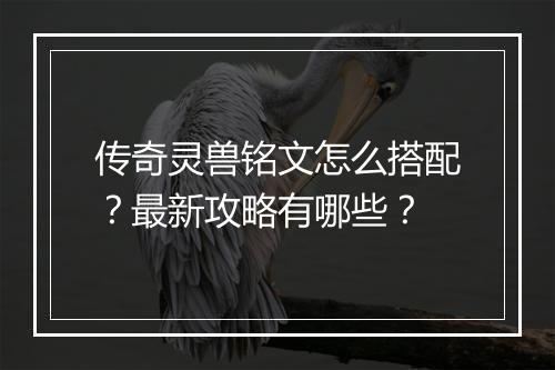 传奇灵兽铭文怎么搭配？最新攻略有哪些？
