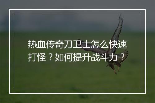 热血传奇刀卫士怎么快速打怪？如何提升战斗力？