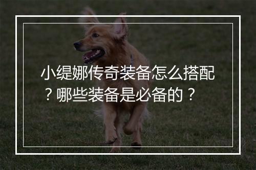 小缇娜传奇装备怎么搭配？哪些装备是必备的？