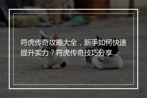 符虎传奇攻略大全，新手如何快速提升实力？符虎传奇技巧分享！
