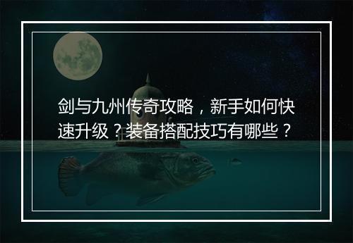 剑与九州传奇攻略，新手如何快速升级？装备搭配技巧有哪些？