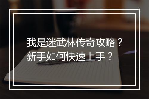 我是迷武林传奇攻略？新手如何快速上手？