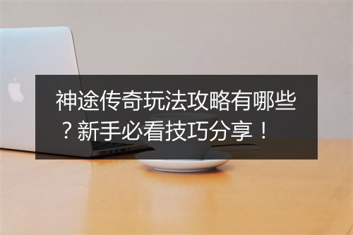 神途传奇玩法攻略有哪些？新手必看技巧分享！