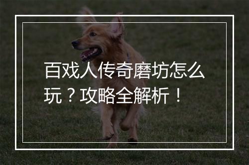百戏人传奇磨坊怎么玩？攻略全解析！