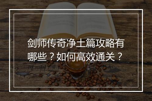 剑师传奇净土篇攻略有哪些？如何高效通关？