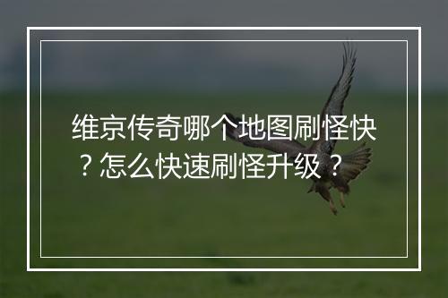 维京传奇哪个地图刷怪快？怎么快速刷怪升级？