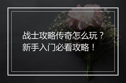 战士攻略传奇怎么玩？新手入门必看攻略！