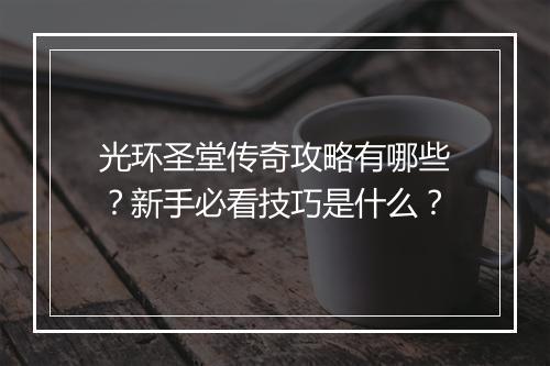 光环圣堂传奇攻略有哪些？新手必看技巧是什么？