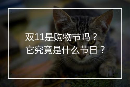 双11是购物节吗？它究竟是什么节日？