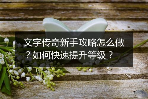 文字传奇新手攻略怎么做？如何快速提升等级？