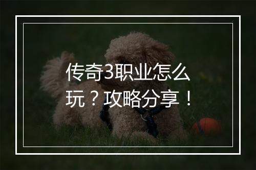 传奇3职业怎么玩？攻略分享！