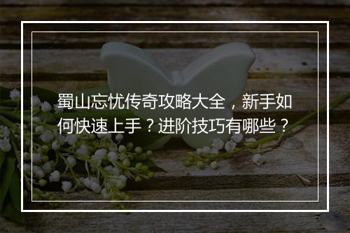 蜀山忘忧传奇攻略大全，新手如何快速上手？进阶技巧有哪些？