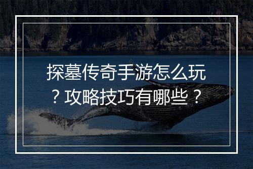 探墓传奇手游怎么玩？攻略技巧有哪些？