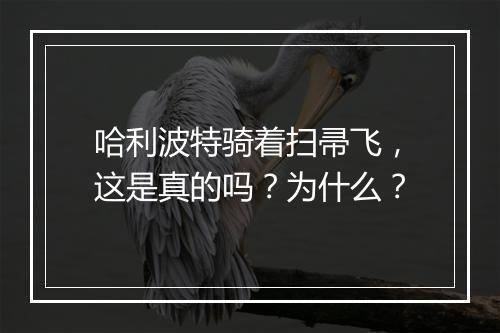 哈利波特骑着扫帚飞，这是真的吗？为什么？