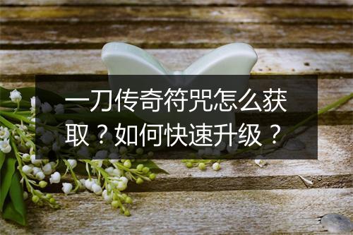 一刀传奇符咒怎么获取？如何快速升级？