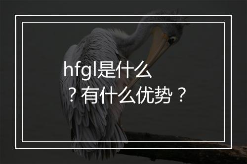 hfgl是什么？有什么优势？