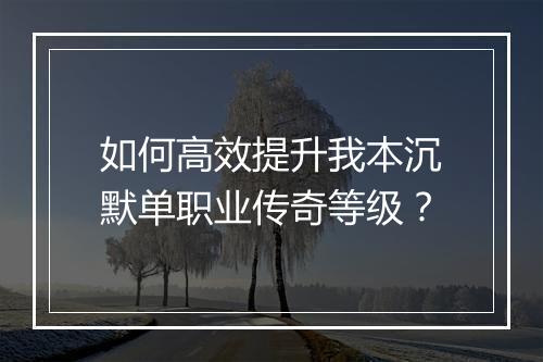 如何高效提升我本沉默单职业传奇等级？