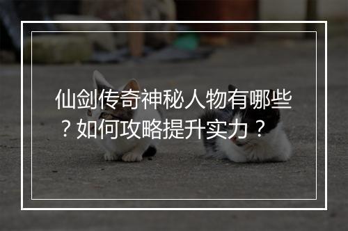仙剑传奇神秘人物有哪些？如何攻略提升实力？