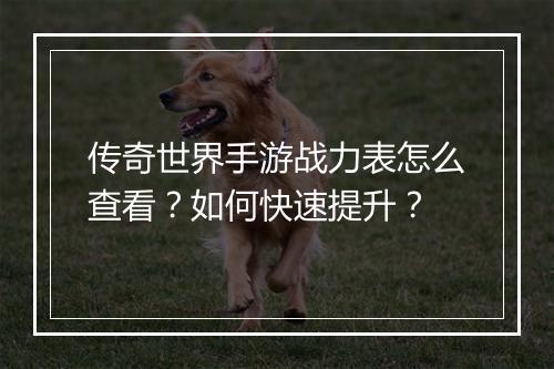 传奇世界手游战力表怎么查看？如何快速提升？