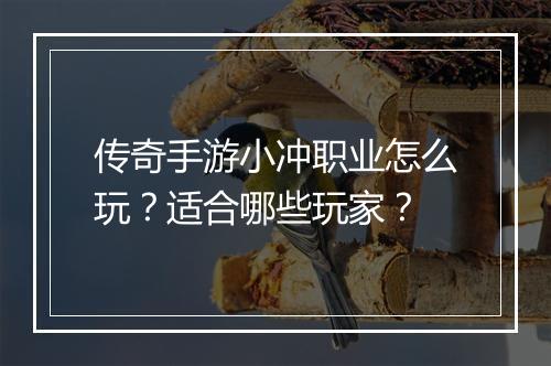 传奇手游小冲职业怎么玩？适合哪些玩家？