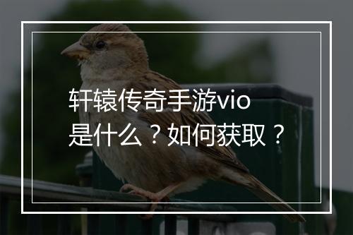 轩辕传奇手游vio是什么？如何获取？
