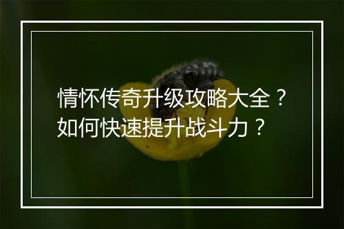 情怀传奇升级攻略大全？如何快速提升战斗力？