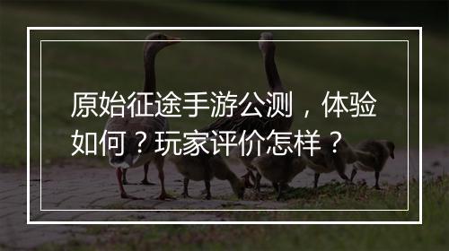 原始征途手游公测，体验如何？玩家评价怎样？