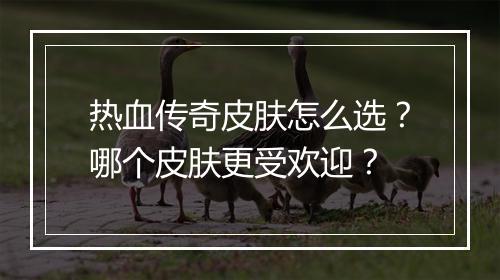 热血传奇皮肤怎么选？哪个皮肤更受欢迎？