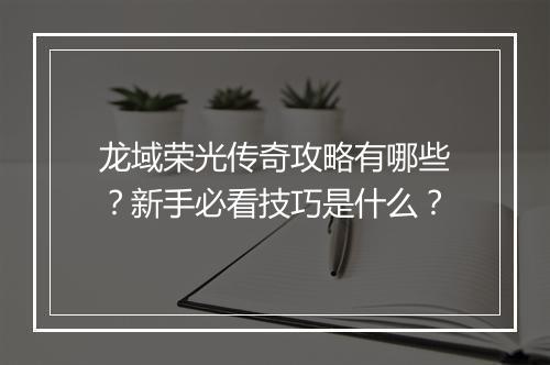龙域荣光传奇攻略有哪些？新手必看技巧是什么？