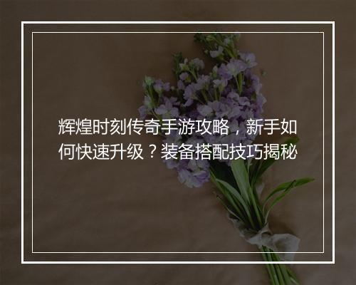 辉煌时刻传奇手游攻略，新手如何快速升级？装备搭配技巧揭秘
