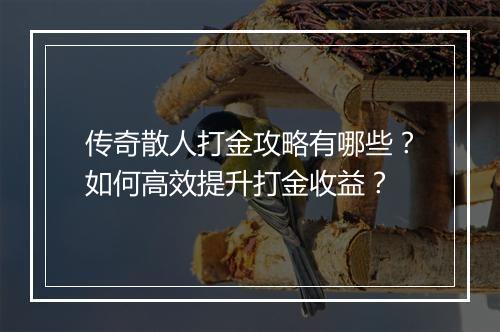 传奇散人打金攻略有哪些？如何高效提升打金收益？