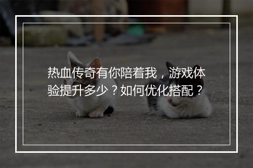 热血传奇有你陪着我，游戏体验提升多少？如何优化搭配？